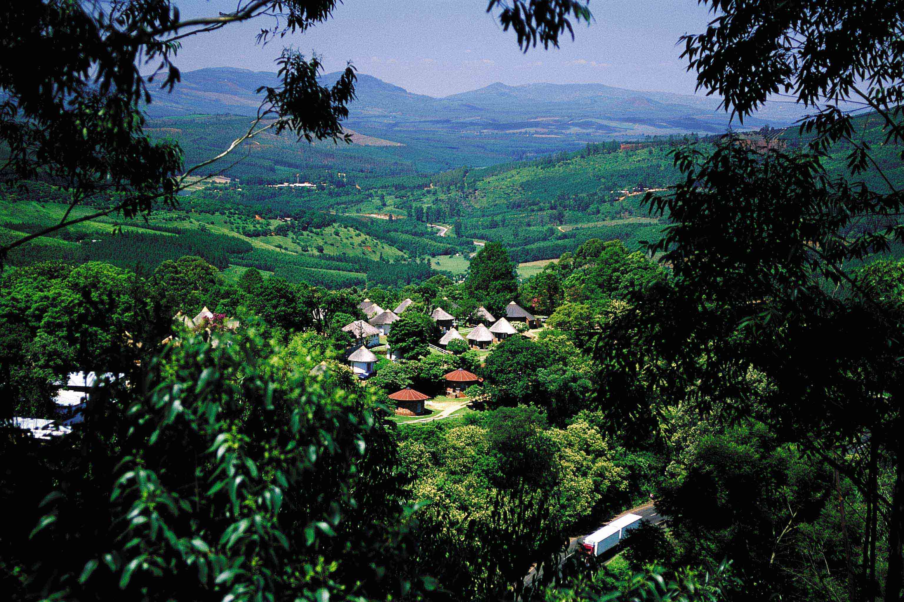Forested hills and a winding road in Magoebaskloof, Limpopo